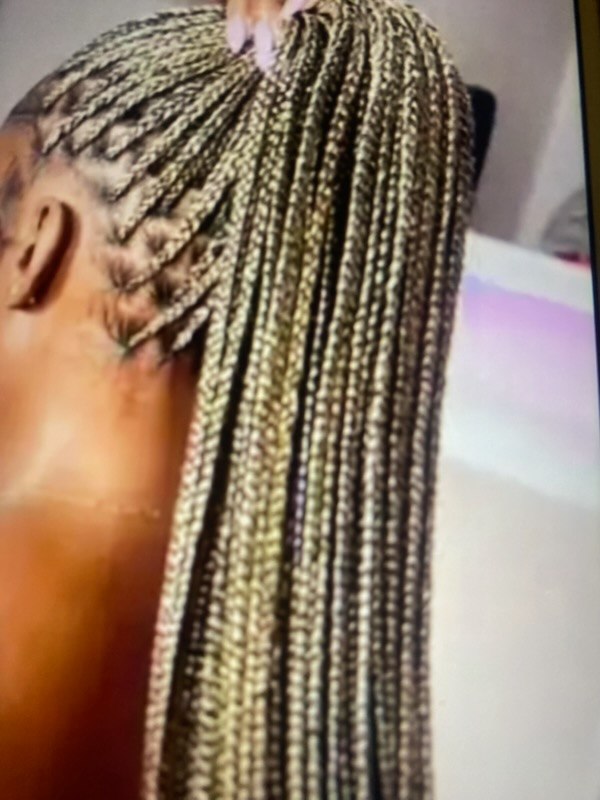 Small Knotless Braids